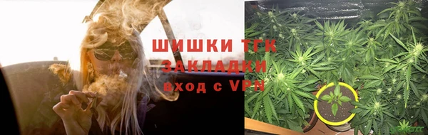 ПСИЛОЦИБИНОВЫЕ ГРИБЫ Надым