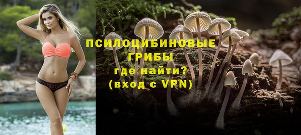 дживик Нея