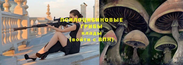 мет Шадринск