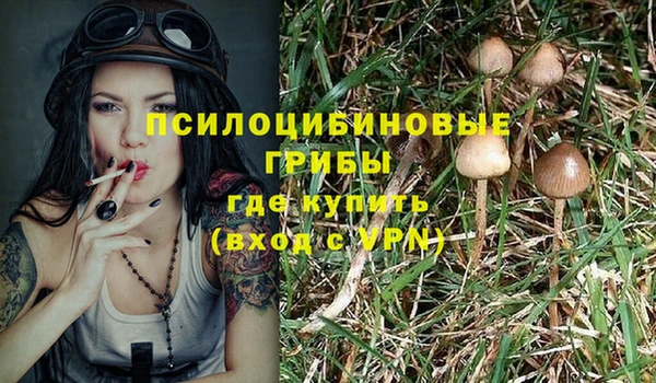 ПСИЛОЦИБИНОВЫЕ ГРИБЫ Надым