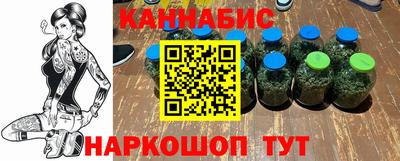 прущие грибы Гатчина