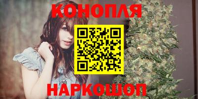 прущие грибы Гатчина