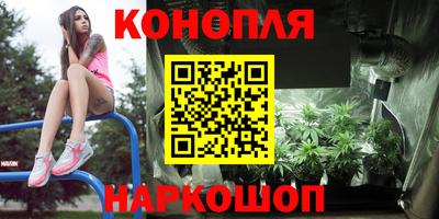 кокс Гай