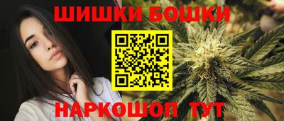 прущие грибы Гатчина