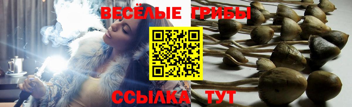 Кулебаки  Псилоцибиновые грибы мухоморы  Галлюциногенные грибы мухоморы  Вход с VPN 